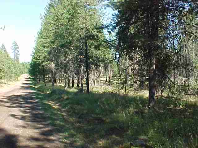 Xxx Brandon Road Chattaroy, WA 99003 - Photo 5 of 9
