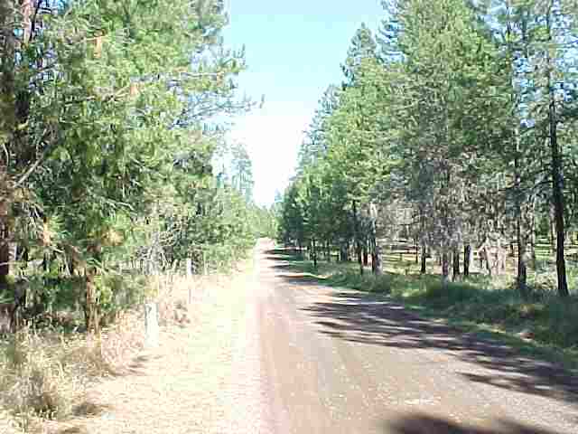 Xxx Brandon Road Chattaroy, WA 99003 - Photo 6 of 9