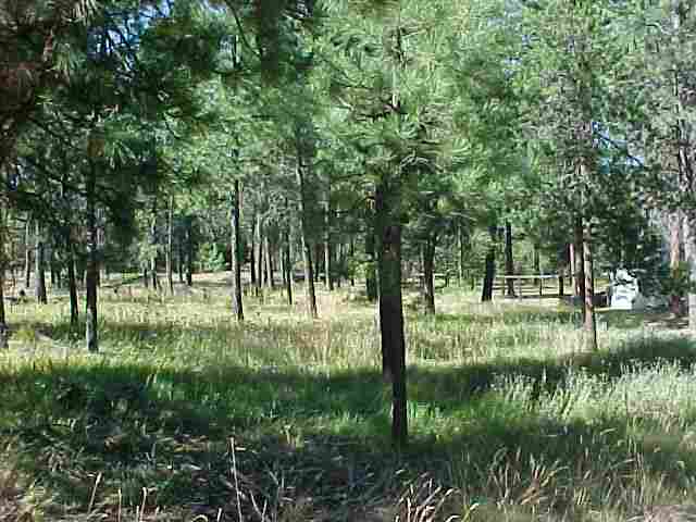 Xxx Brandon Road Chattaroy, WA 99003 - Photo 8 of 9