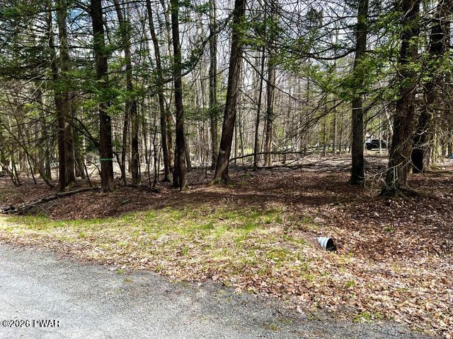 Lot 826 Fawn Road Hawley, PA 18428 - Photo 13 of 31