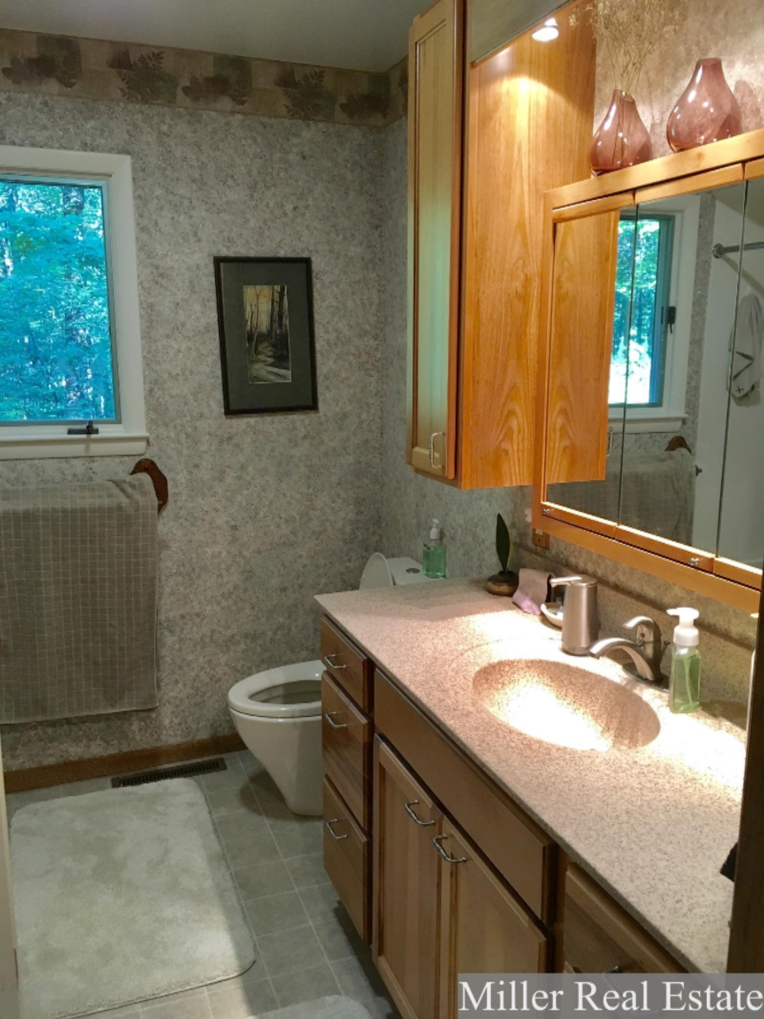 3398 Heath Road Hastings, MI 49058 - Photo 11 of 24 Photo Aug 23, 9 41 19 AM