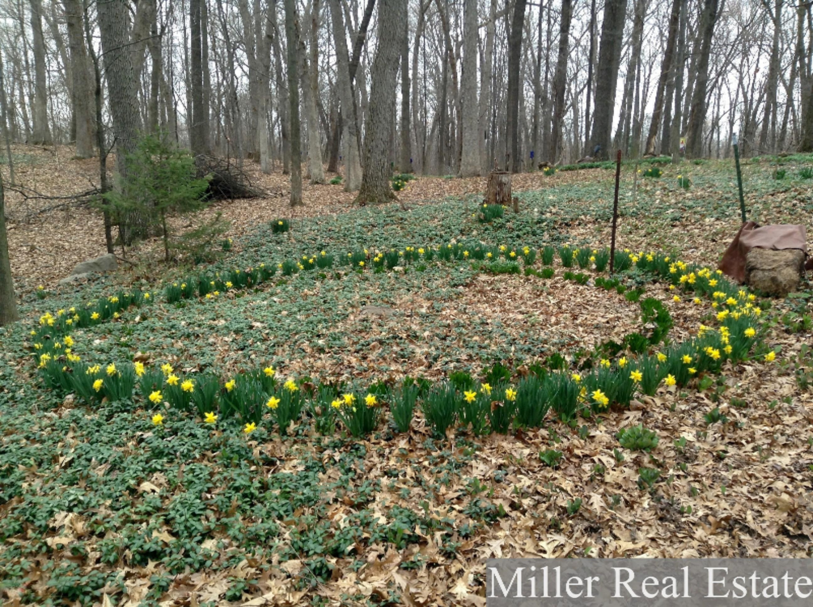 3398 Heath Road Hastings, MI 49058 - Photo 20 of 24 2015-04-16 15.50.30
