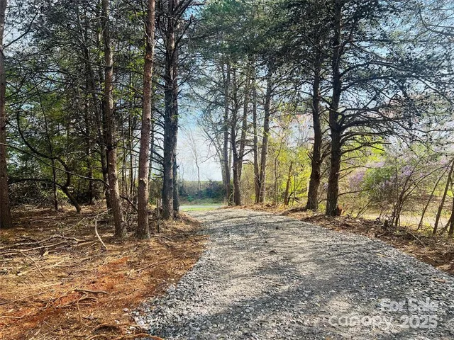 a big yard with lots of green space and trees