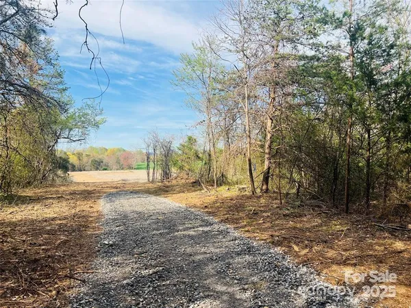 a view of dirt yard with large trees