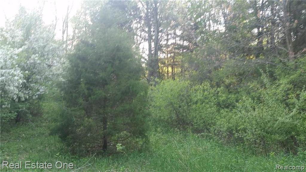 Parcel 2 B Silver Lake Road Brighton, MI 48116 - Photo 4 of 16 Gallery Image 4
