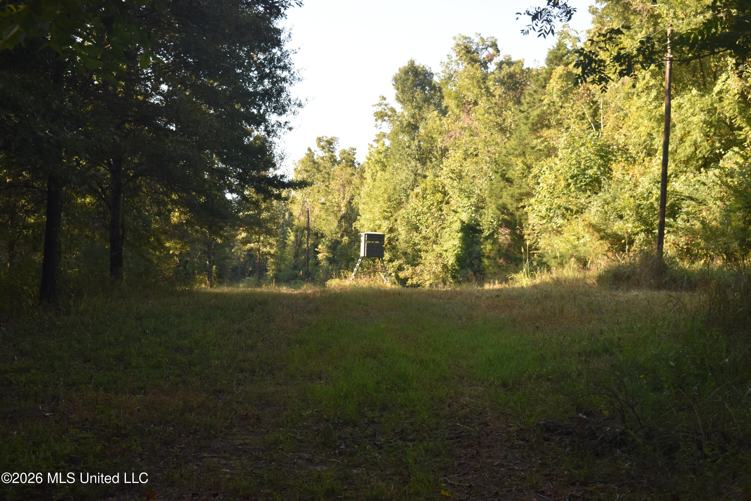390 Old Panola Road Como, MS 38619 - Photo 48 of 71 DSC_0129
