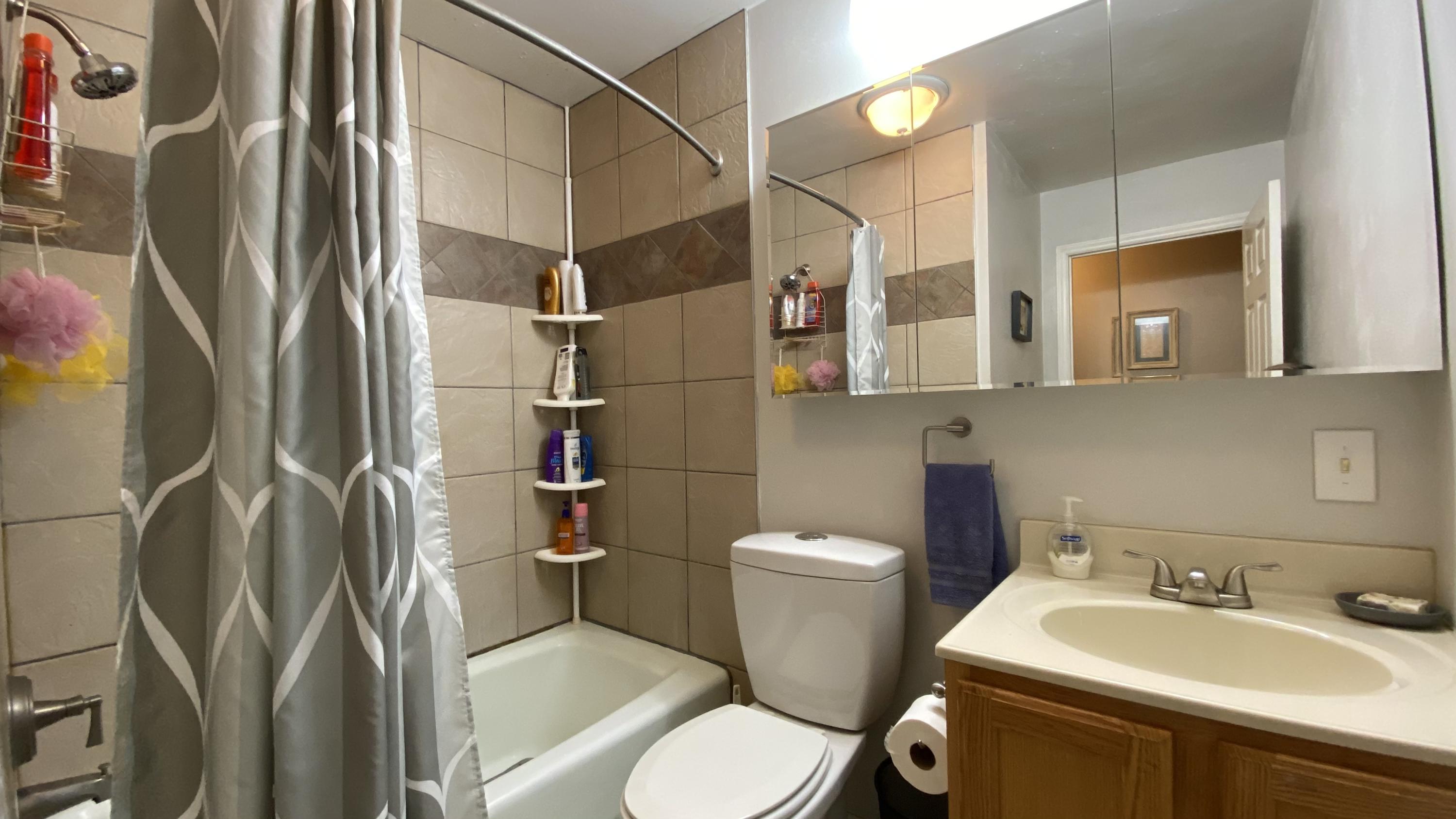 1171 Rock Spring Road Goodview, VA 24095 - Photo 16 of 29 a bathroom with a sink toilet and shower