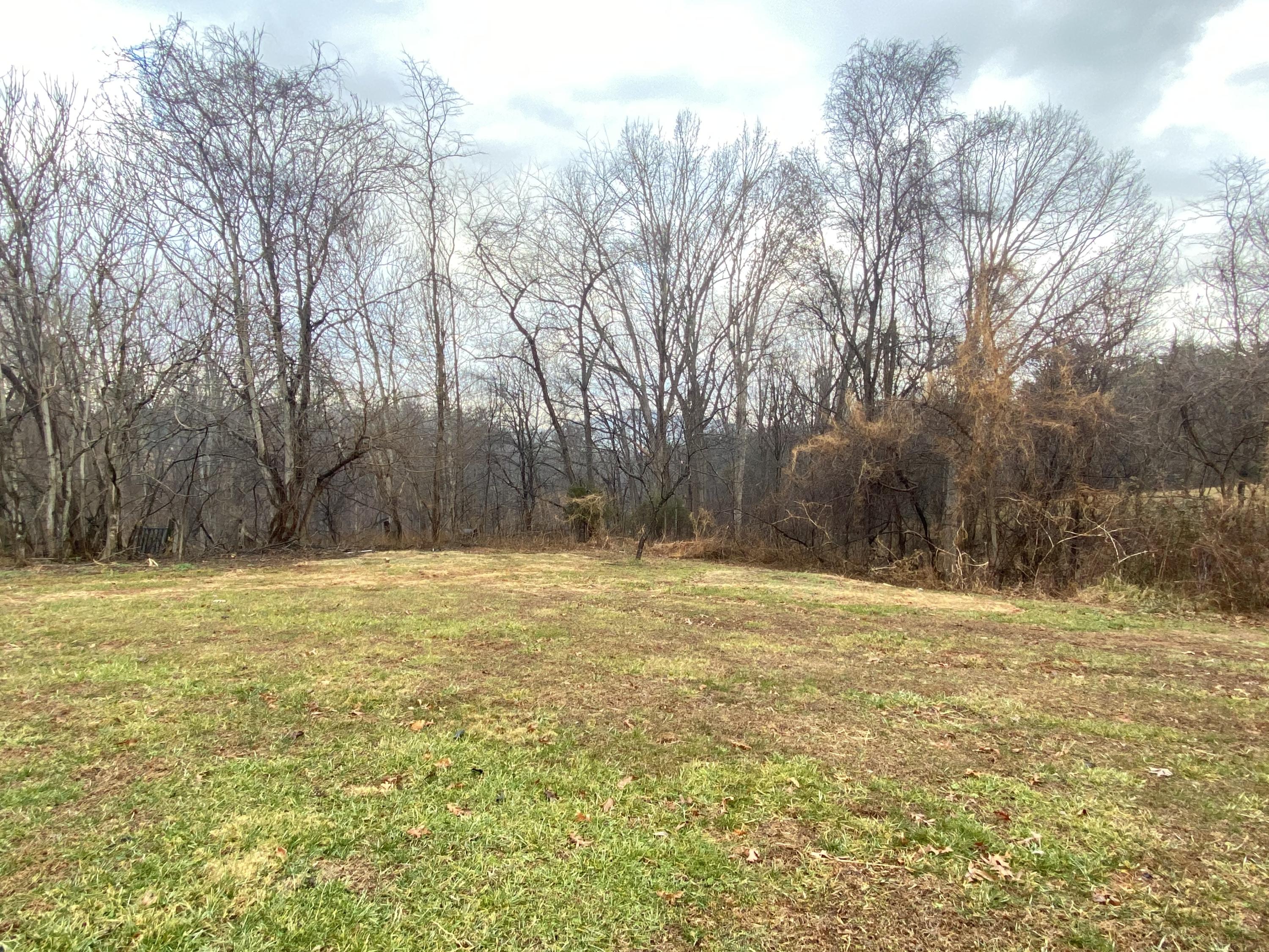 1171 Rock Spring Road Goodview, VA 24095 - Photo 27 of 29 a view of a yard with trees