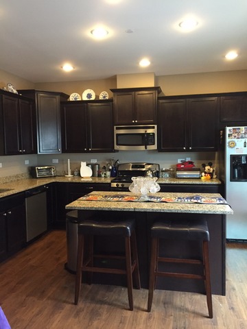 10340 Kerry Ridge Court Chicago Ridge, IL 60415 - Photo 2 of 14 a kitchen with stainless steel appliances granite countertop a stove and a sink
