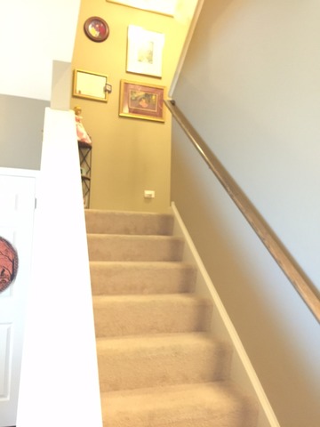 10340 Kerry Ridge Court Chicago Ridge, IL 60415 - Photo 11 of 14 a view of entryway