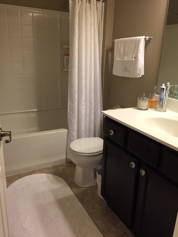 10340 Kerry Ridge Court Chicago Ridge, IL 60415 - Photo 12 of 14 a bathroom with a sink a toilet and shower