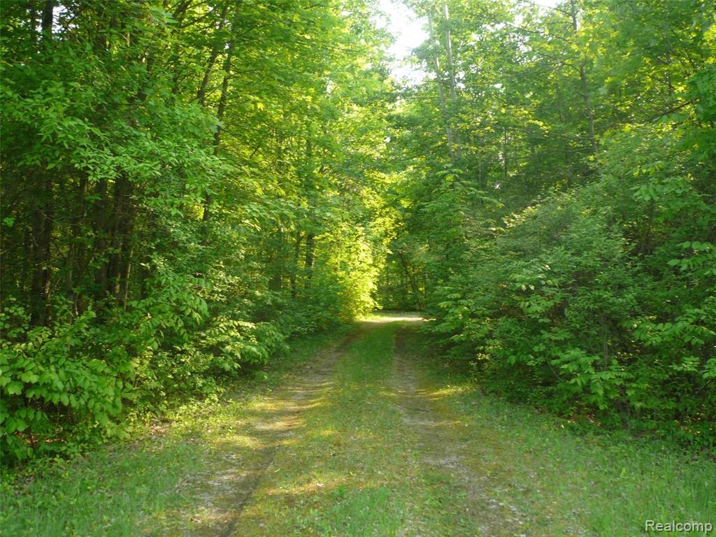 0 East Romeo Road Oakland, MI 48363 - Photo 15 of 18