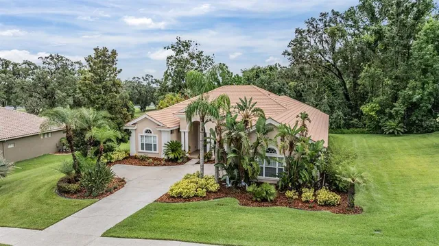 a view of a back yard of the house