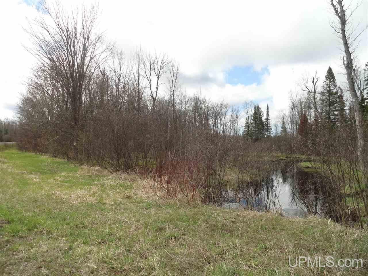 East Shore Road Marenisco, MI 49947 - Photo 3 of 12