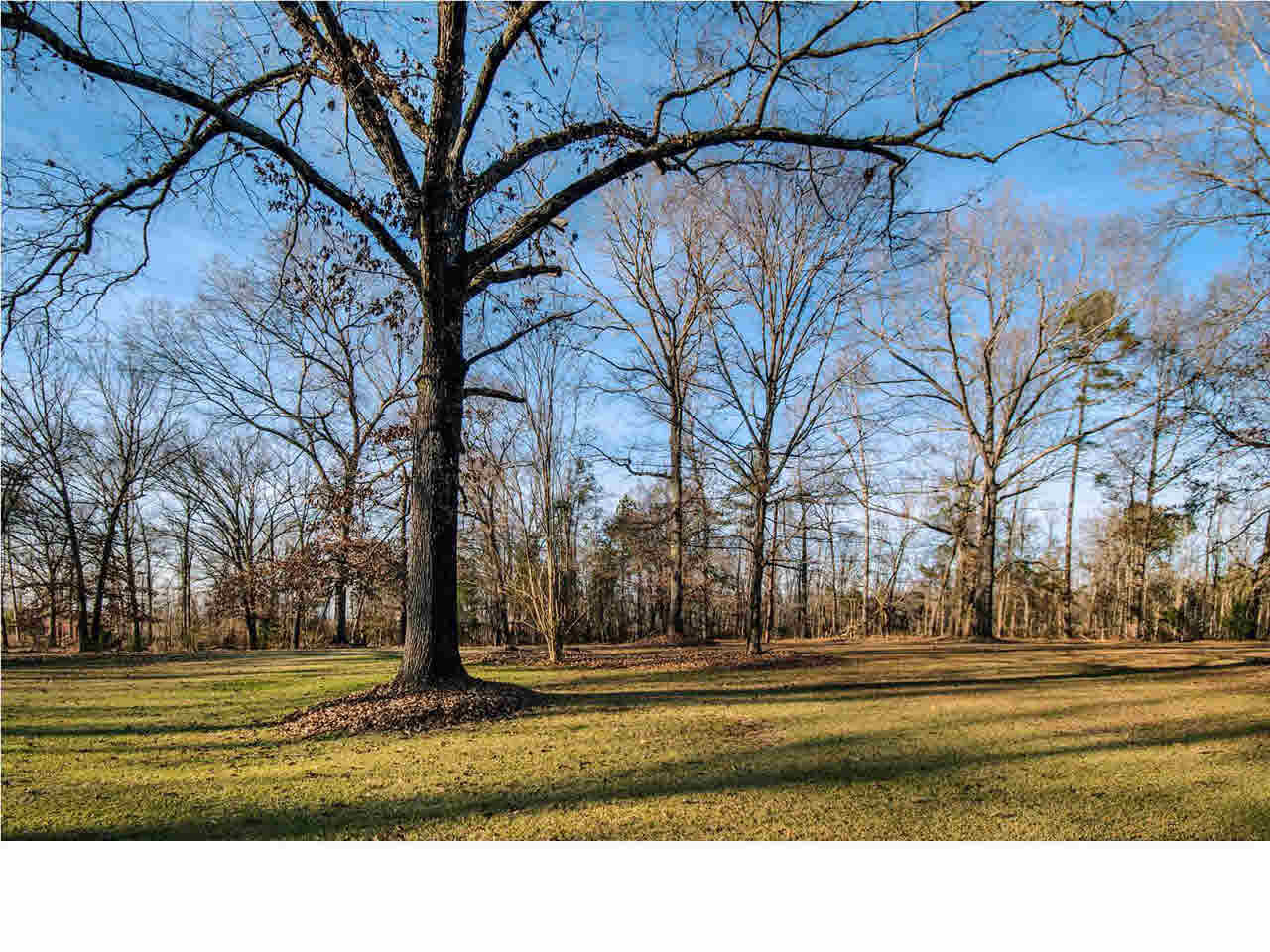 9677 Midway Road, Unit C Raymond, MS 39154 - Photo 33 of 48 back view of property