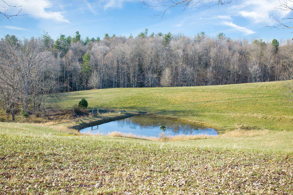 1006 Heizer Hill Road Wellington, KY 40387 - Photo 20 of 29 0V6A9843
