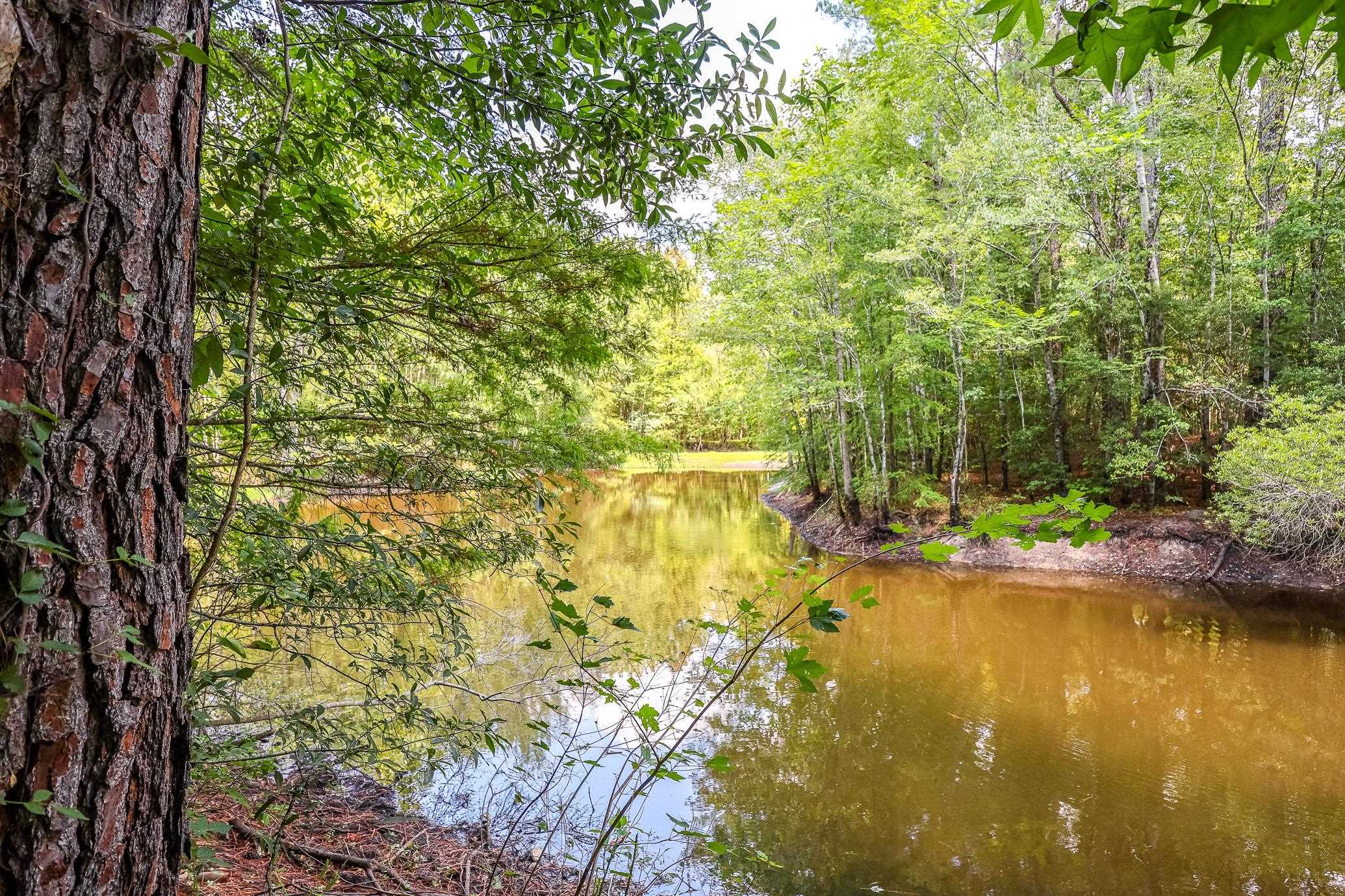 13290 Pee Dee Road South Galivants Ferry, SC 29544 - Photo 20 of 22 Gallery Image 20