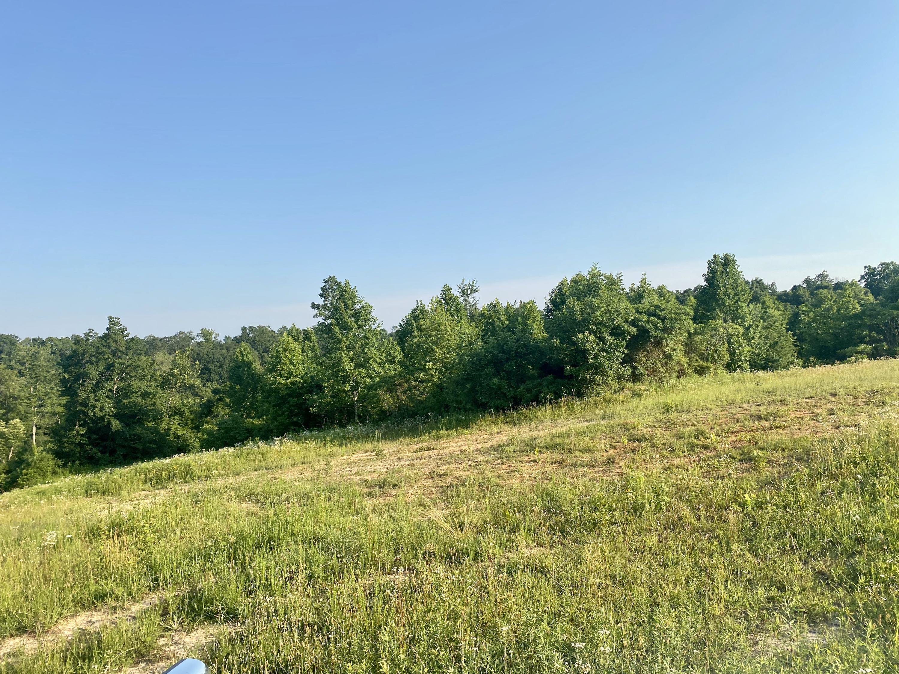 3000 Sloan Fork Road Windsor, KY 42565 - Photo 11 of 15 IMG_0604