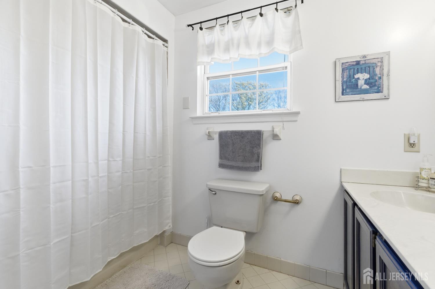 6 Shoshoni Way Somerville, NJ 08876 - Photo 34 of 52 a bathroom with a toilet a sink and a shower