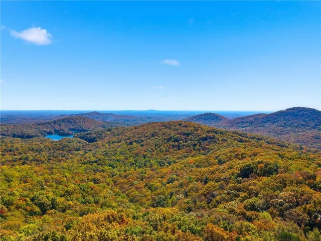 an aerial view of a house with a yard and large tree