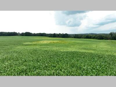 67070 Sweet Lake Road Sturgis, MI 49091 - Photo 24 of 57 Tract 2