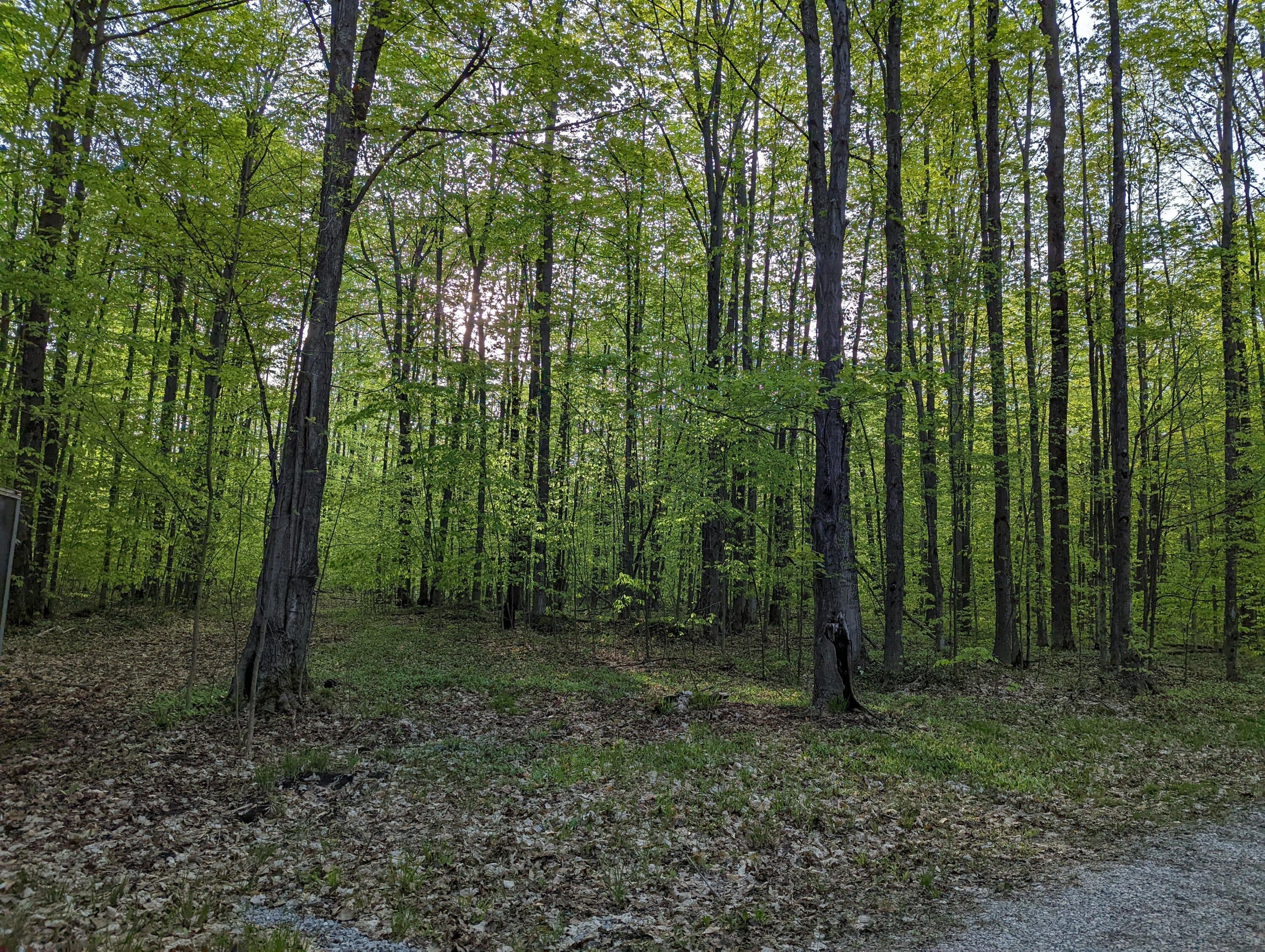 10506 Hall Road Atlanta, MI 49709 - Photo 27 of 74 Gallery Image 27