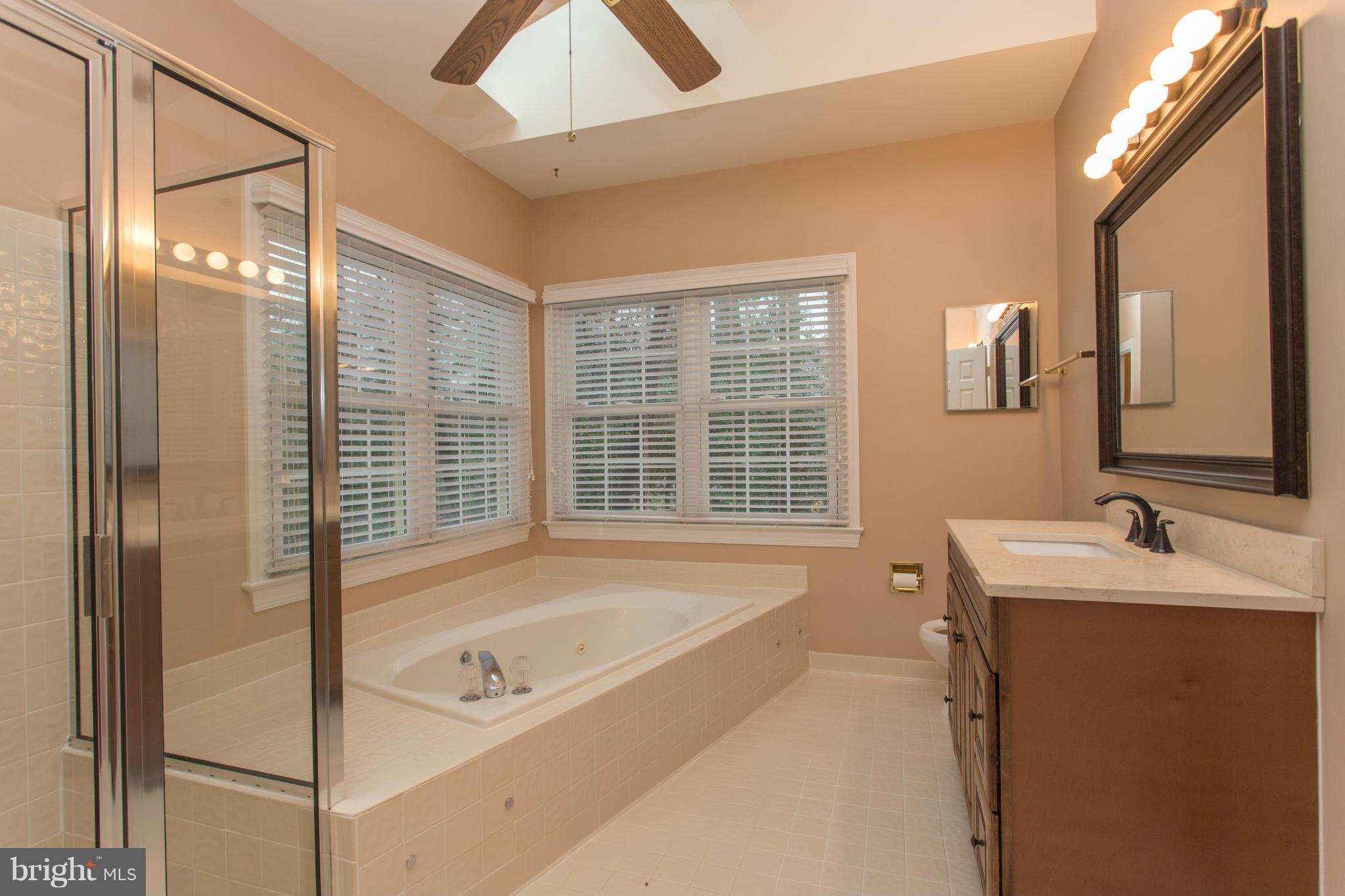 10098 Bird Road Vienna, VA 22181 - Photo 16 of 30 Bath (Master)