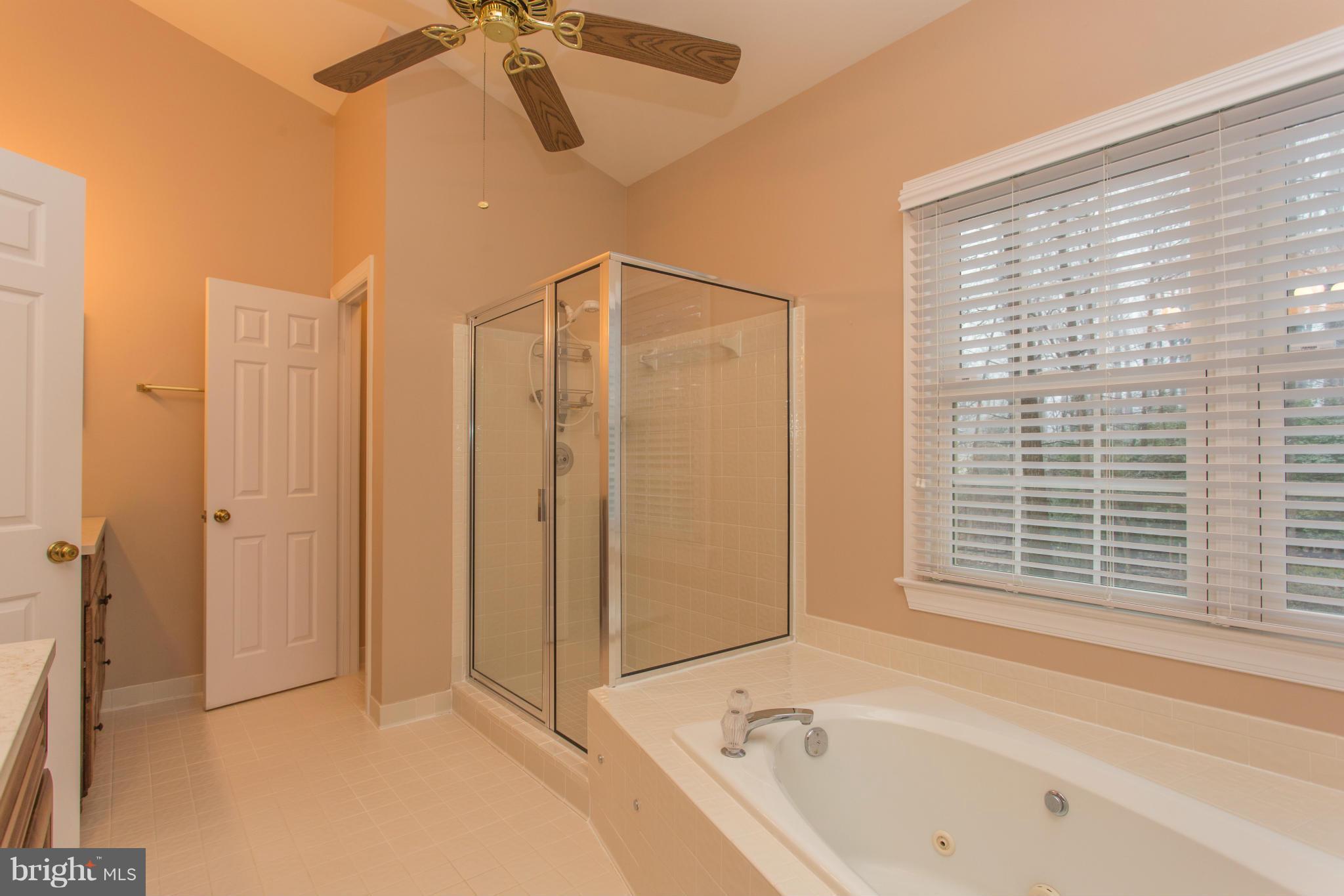 10098 Bird Road Vienna, VA 22181 - Photo 17 of 30 Bath (Master)