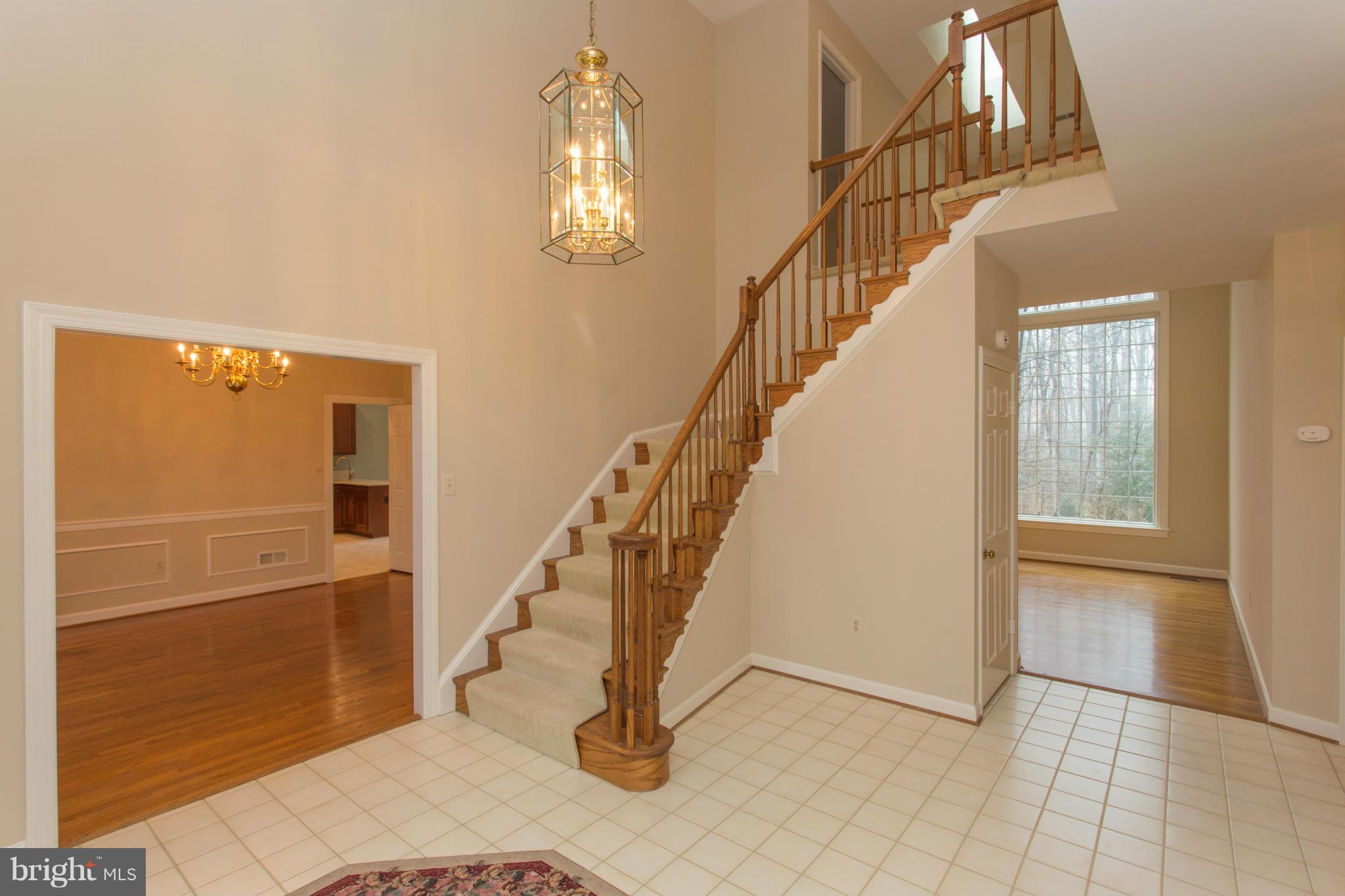 10098 Bird Road Vienna, VA 22181 - Photo 5 of 30 Interior (General)