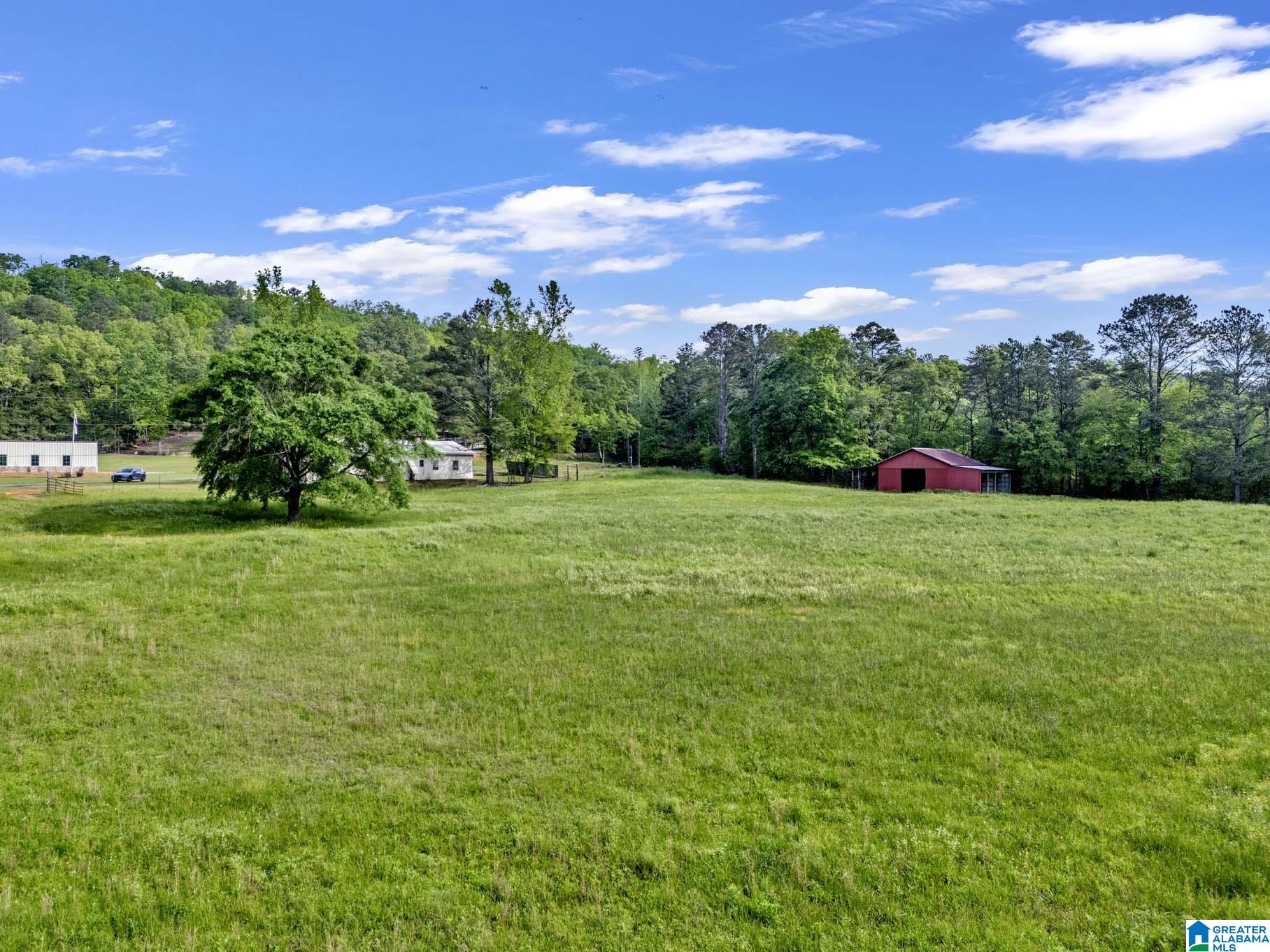6245 Thompson Road Altoona, AL 35952 - Photo 10 of 27