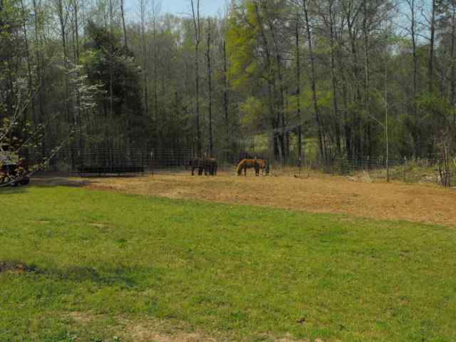 212 Belton Farms Road Belton, SC 29627 - Photo 13 of 16 Gallery Image 13