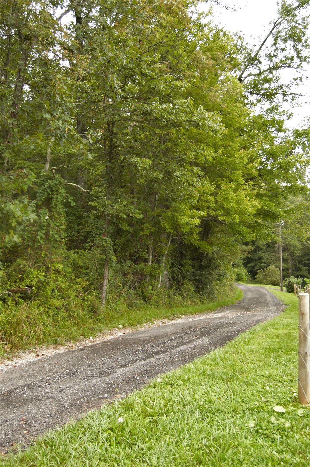 Penny Royal Road Pilot, VA 24138 - Photo 2 of 13 Gallery Image 2