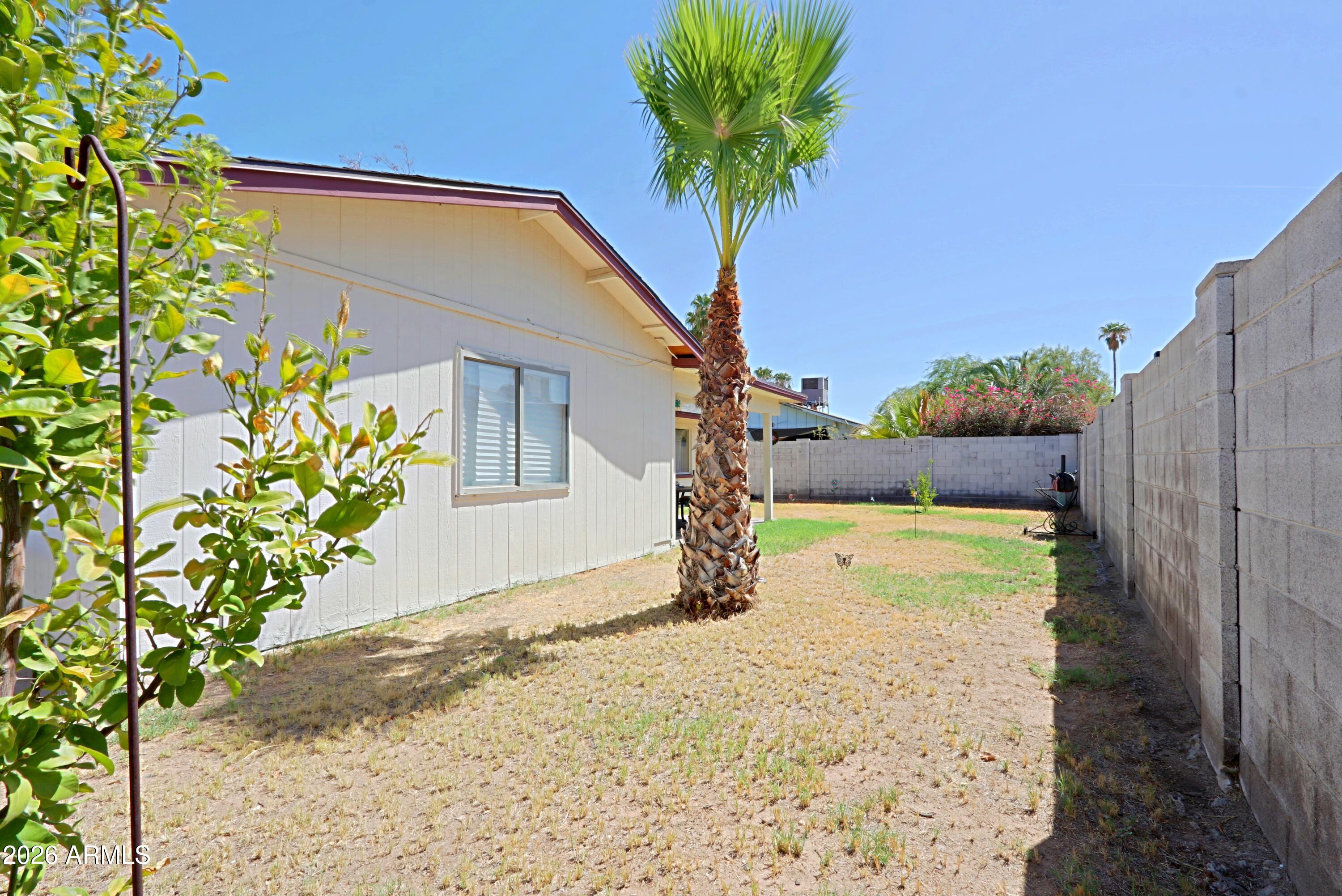 3721 West Calavar Road Phoenix, AZ 85053 - Photo 23 of 31 Backyard 6