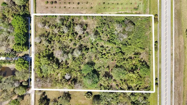 view of a window with a tree in the background