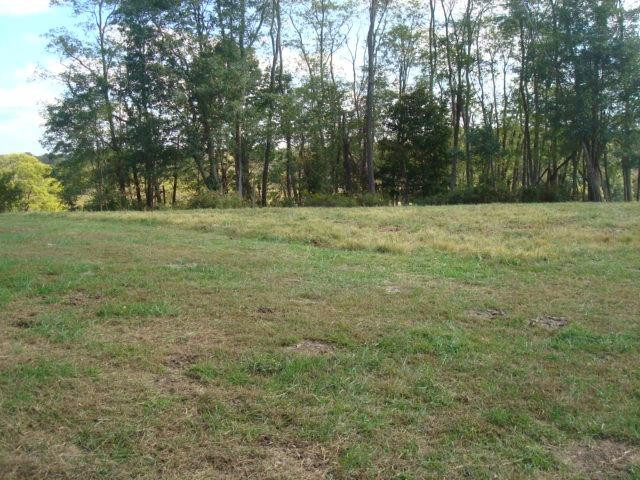 0 Ruark Road Dry Ridge, KY 41035 - Photo 6 of 29 Gallery Image 6