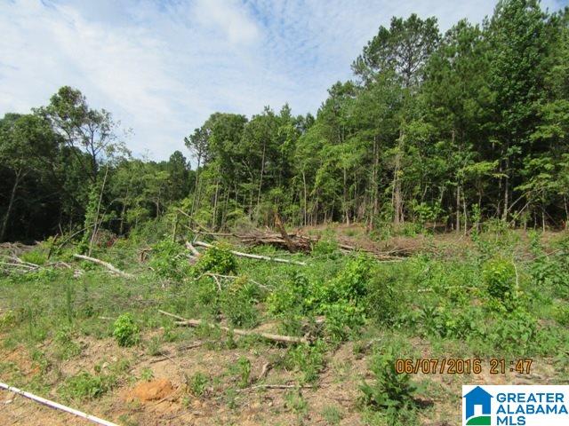 550 Davis Acres Drive, Unit 15 Alpine, AL 35014 - Photo 8 of 48