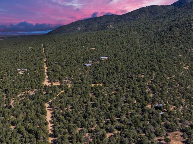 Lot 83 Upper Pinabete Road Questa, NM 87556 - Photo 11 of 11