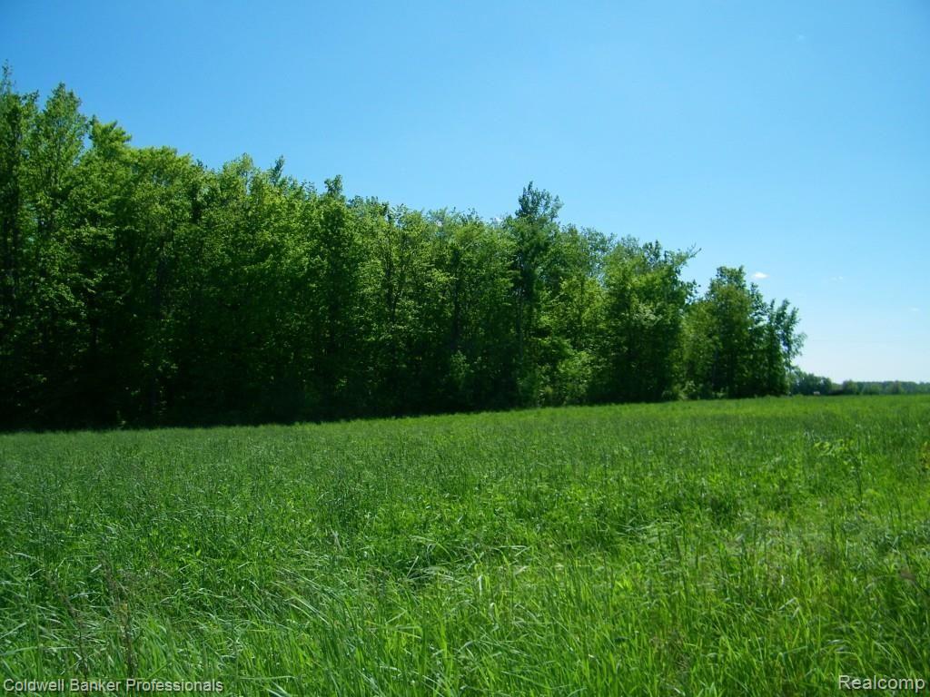 2 North Branch Rd Branch Fostoria, MI 48435 - Photo 4 of 6
