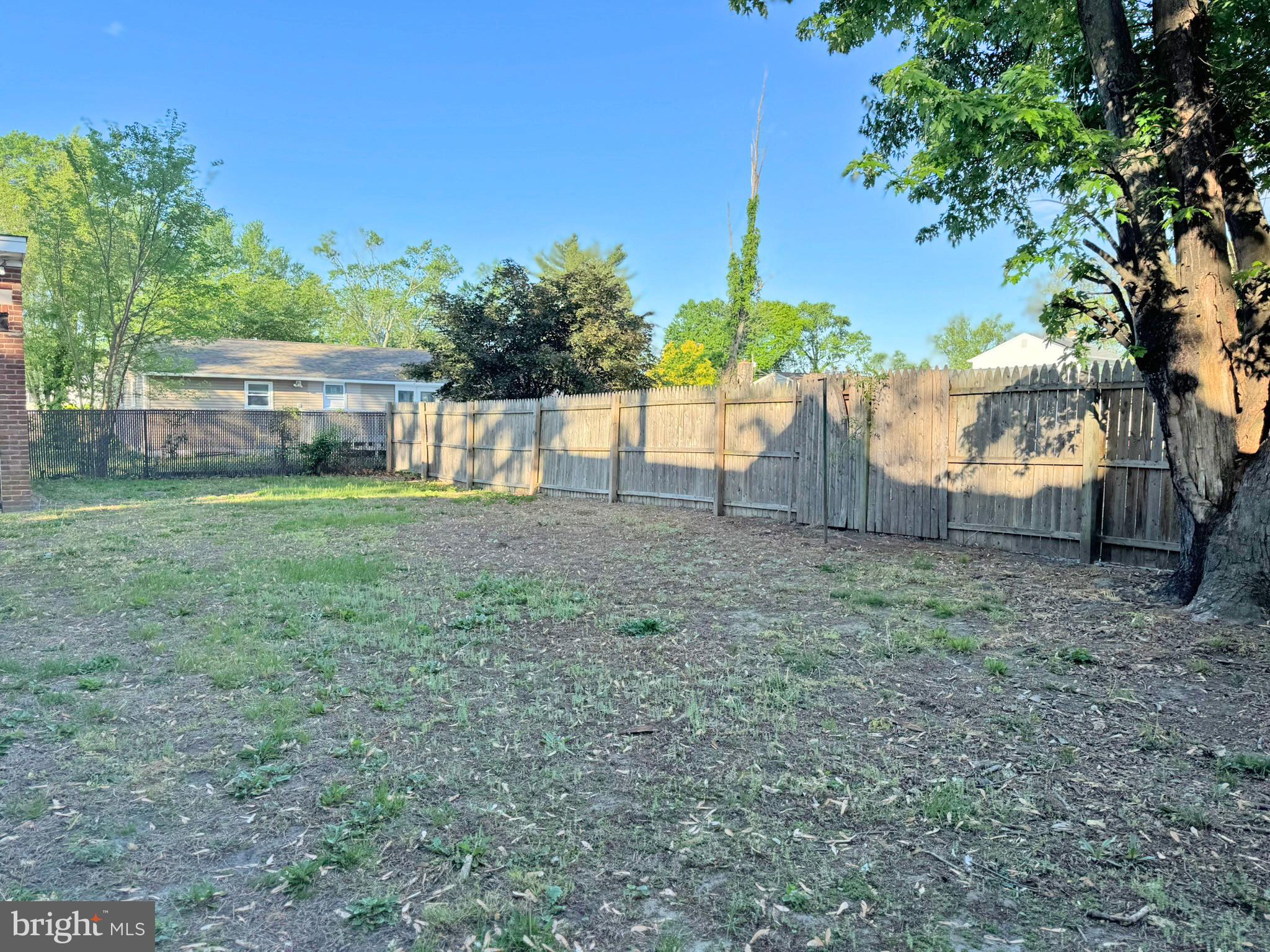 524 8th Avenue Lindenwold, NJ 08021 - Photo 14 of 19 a view of backyard with tree