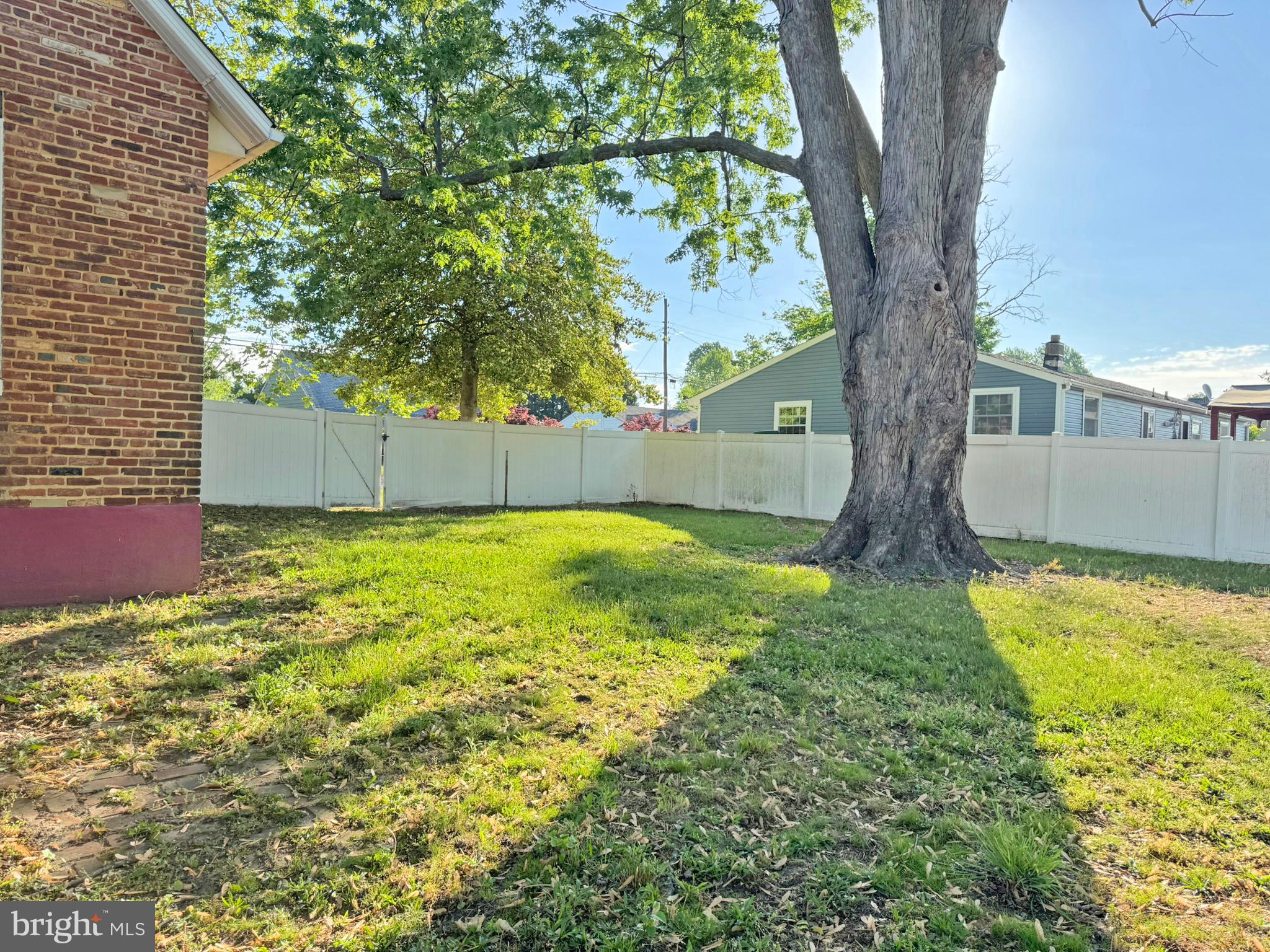524 8th Avenue Lindenwold, NJ 08021 - Photo 17 of 19 a view of a yard with a tree