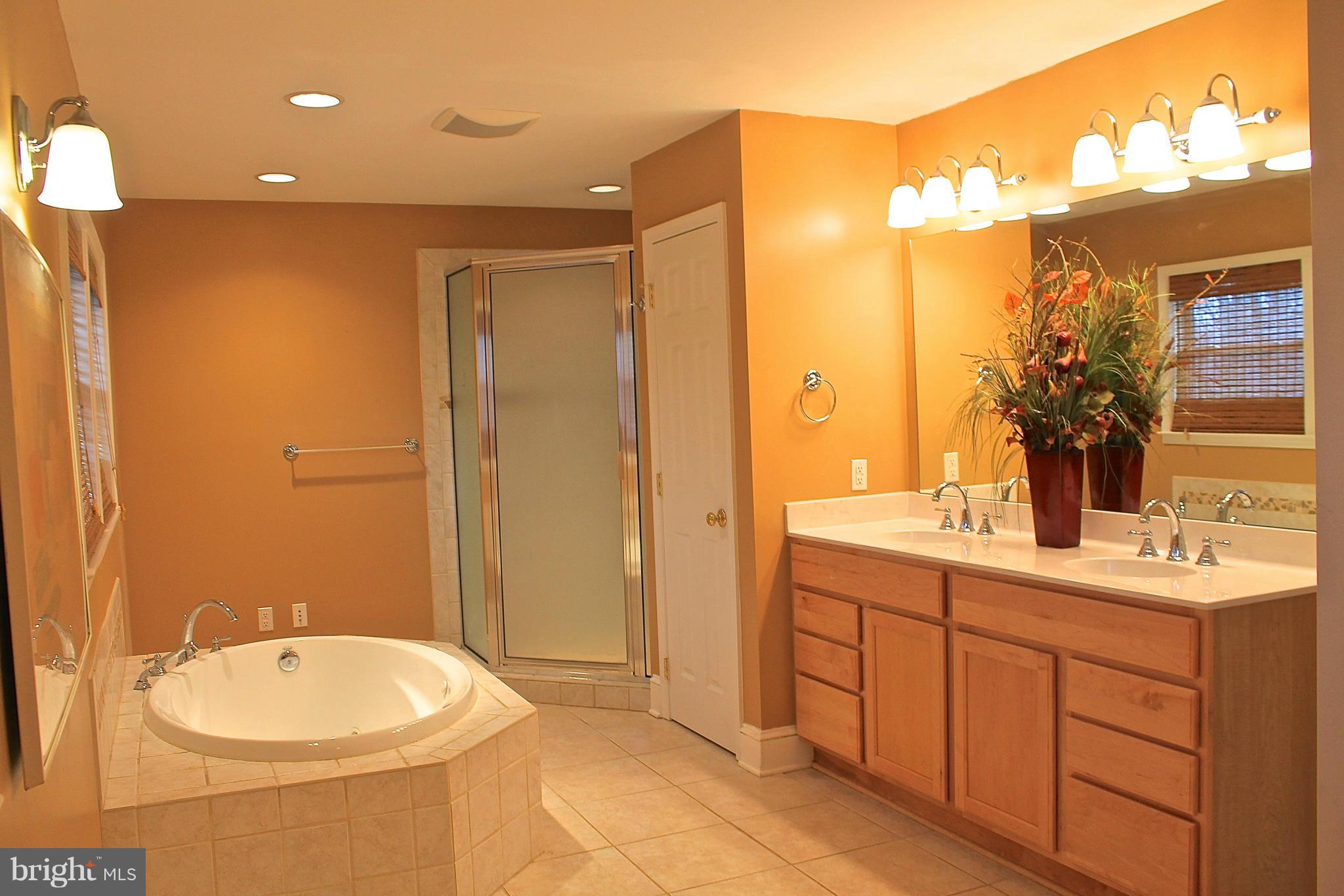 213 East Ring Factory Road Bel Air, MD 21014 - Photo 19 of 30 Bath (Master)