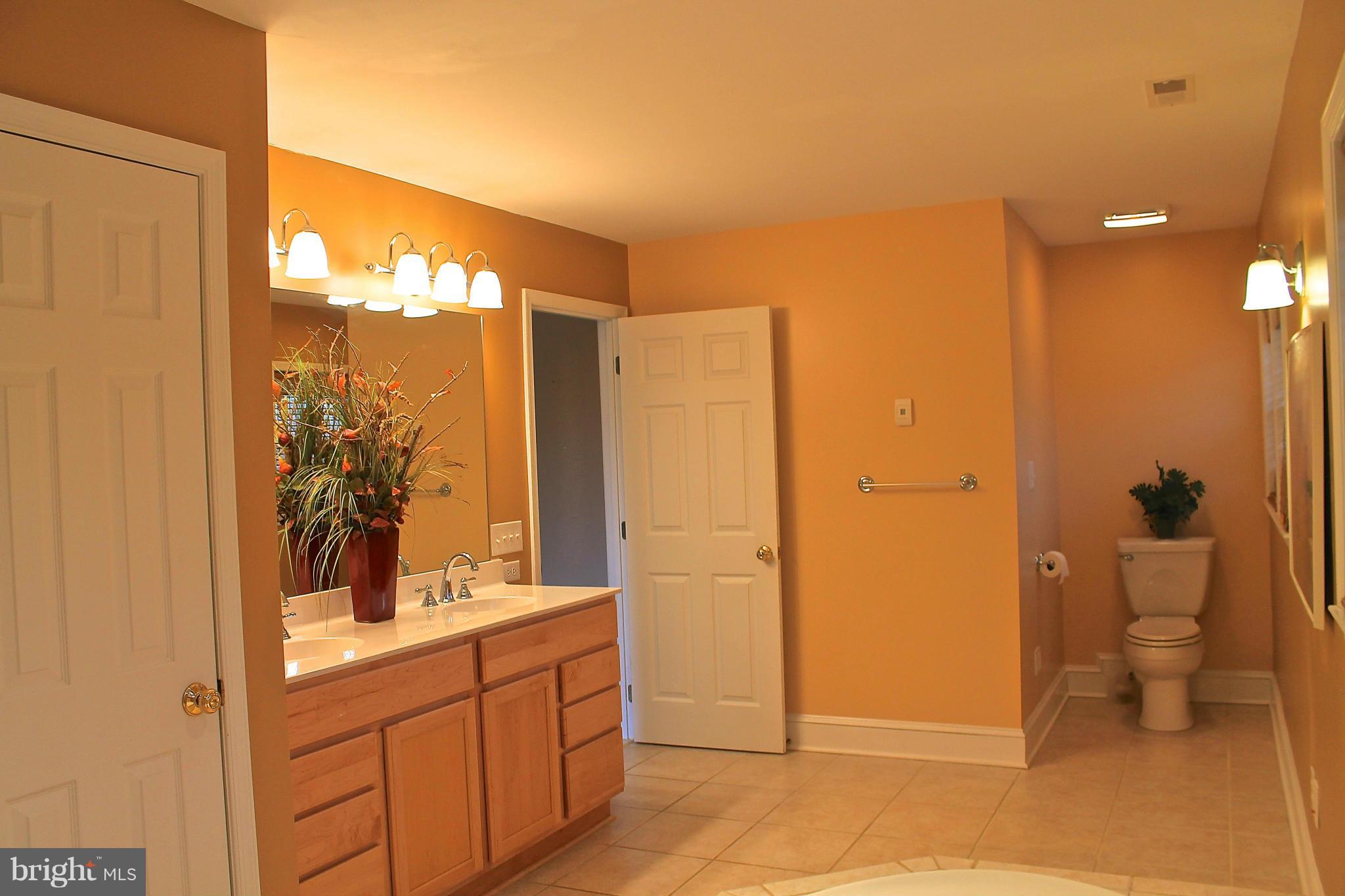 213 East Ring Factory Road Bel Air, MD 21014 - Photo 20 of 30 Bath (Master)