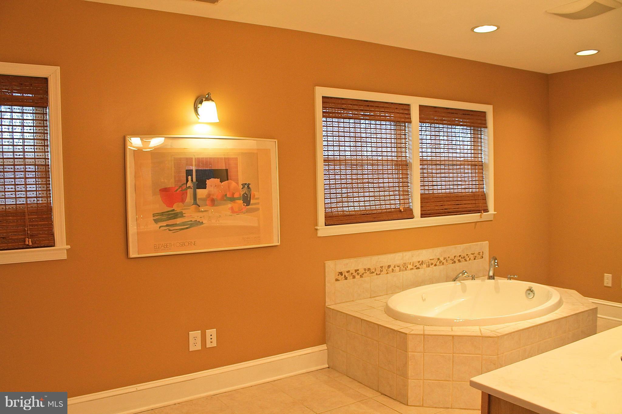 213 East Ring Factory Road Bel Air, MD 21014 - Photo 21 of 30 Bath (Master)