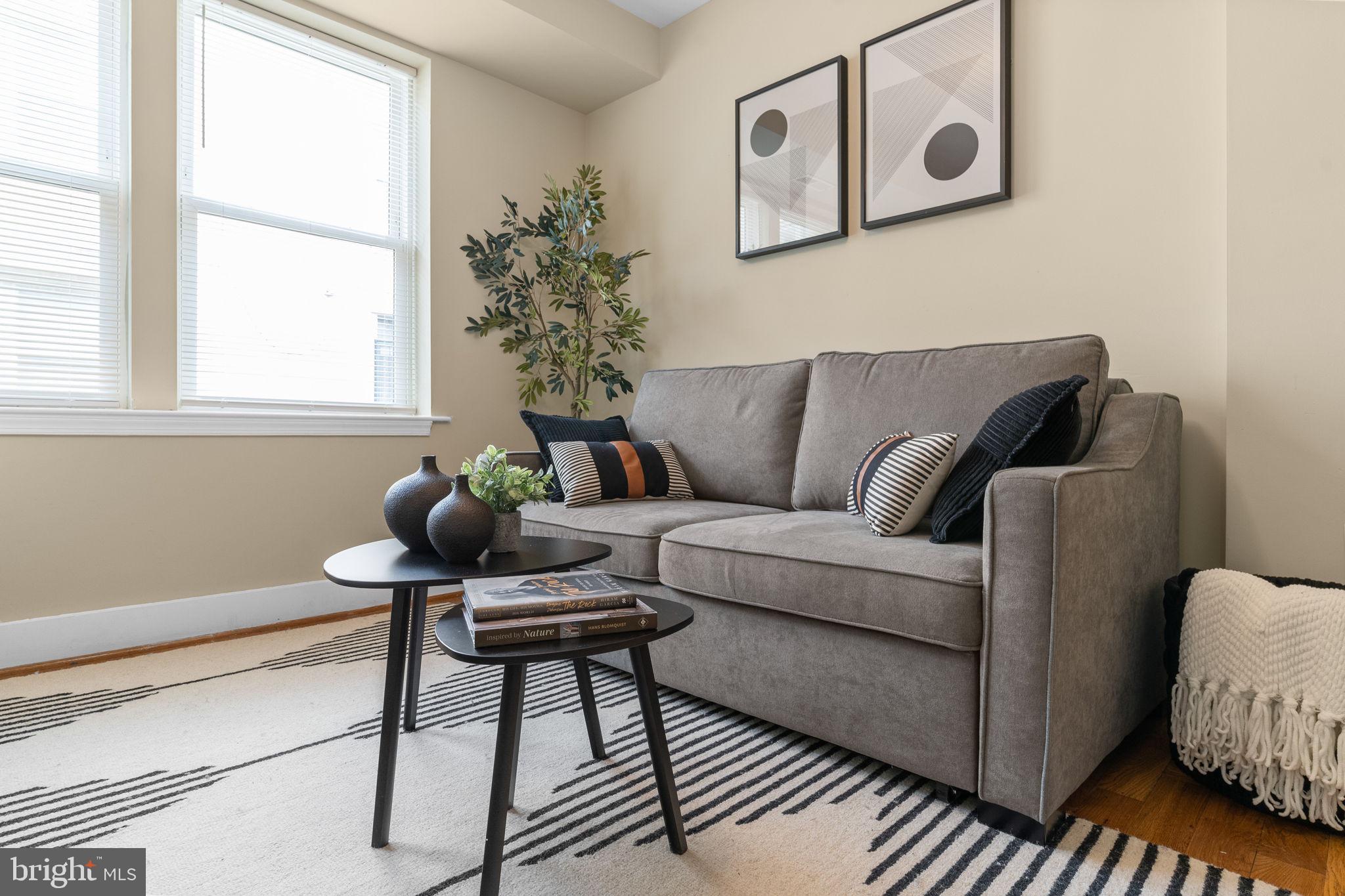417 18th Street Northeast, Unit 103 Washington, DC 20002 - Photo 9 of 40 a living room with furniture and a window