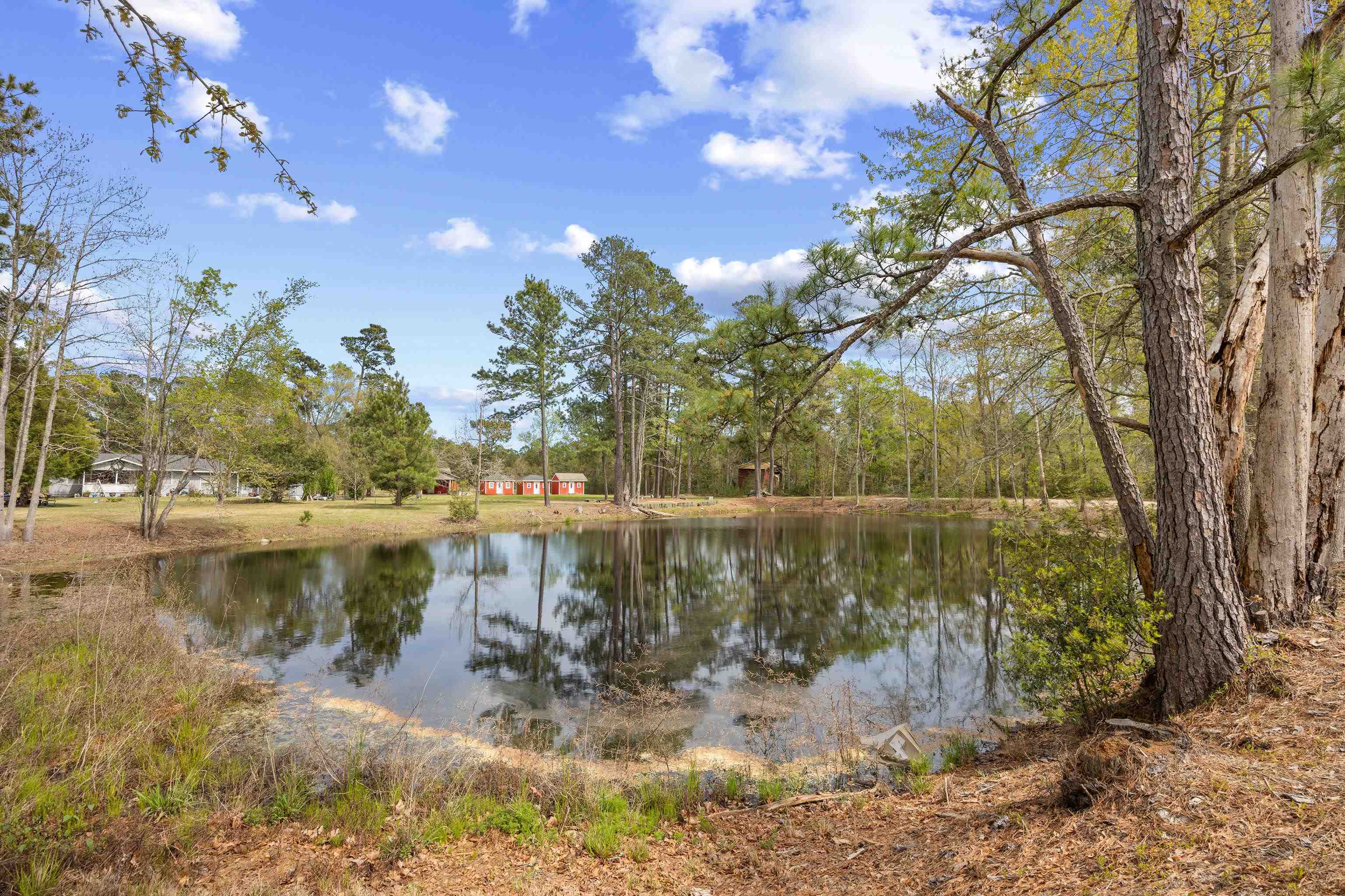 6874 Pee Dee Highway Conway, SC 29527 - Photo 41 of 81