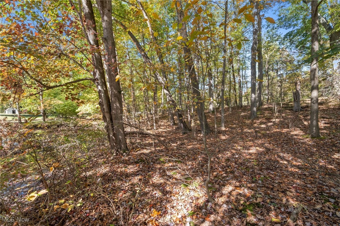 West Comet Road Clinton, OH 44216 - Photo 17 of 26 View of landscape