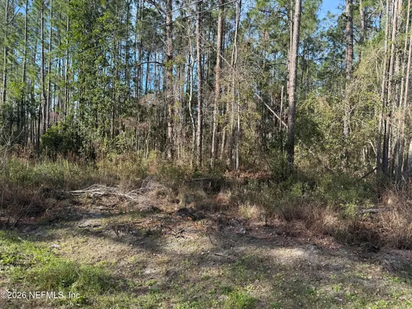 a view of a forest with trees
