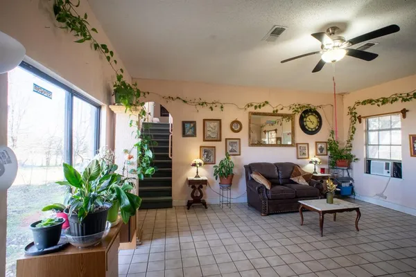 a living room with furniture a chandelier and a potted plant