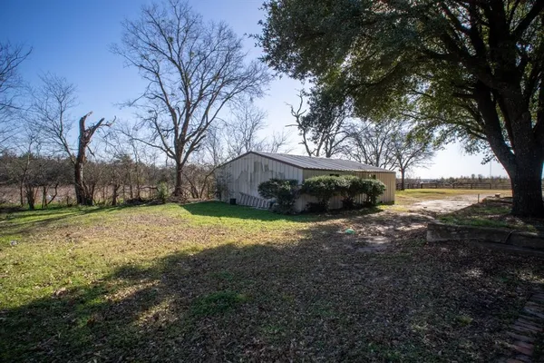 a view of a yard with plants and trees