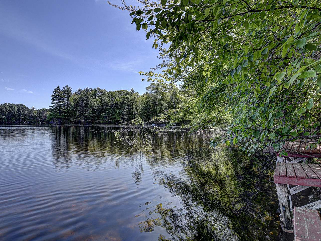 330 Squash Lake Road Eagle River, WI 54521 - Photo 9 of 39 Gallery Image 9